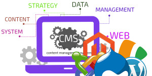 CMS platform